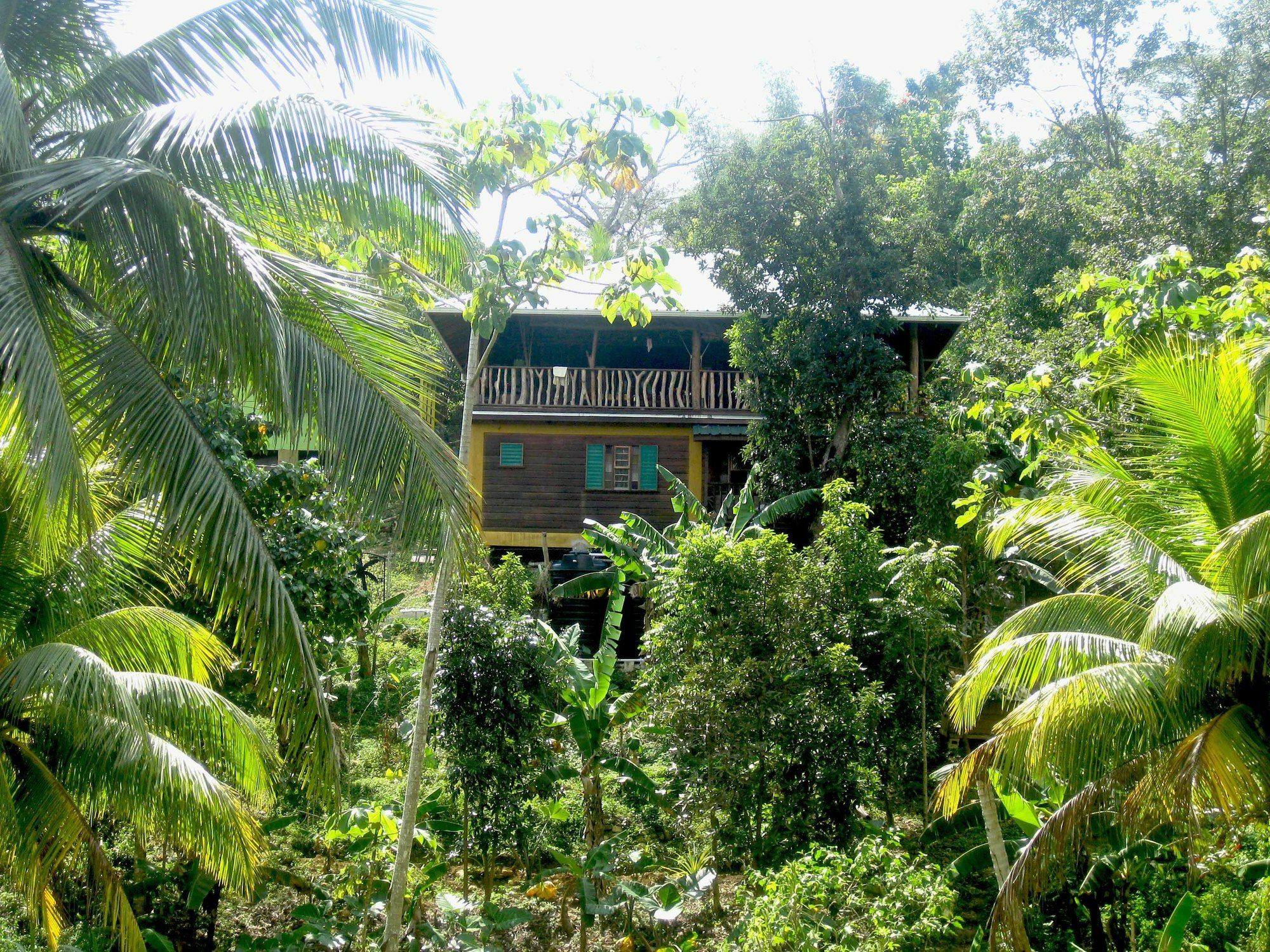 Zimbali Culinary Retreats Villa Negril Exterior photo